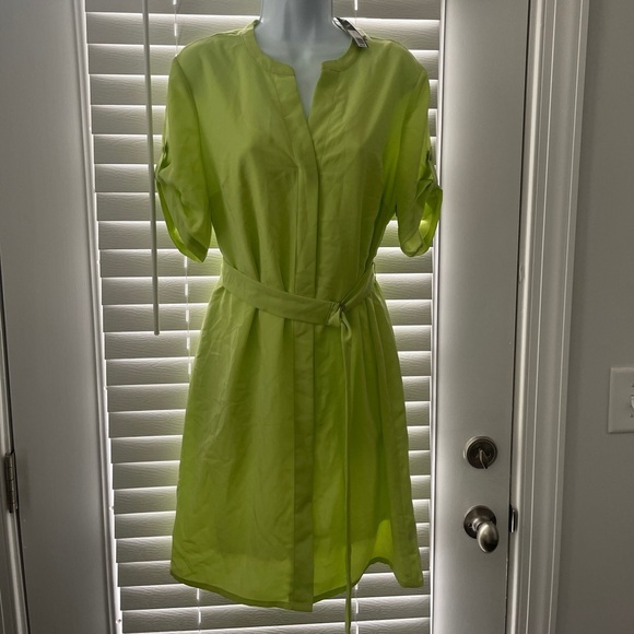 The Limited Light Green Short Sleeve Dress - Picture 1 of 11